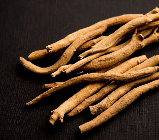 Shatavari Root